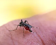 Bahia registra 78 mortes pela dengue