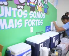 Dengue na Bahia: mais de 110 cidades receberão novas doses da vacina
