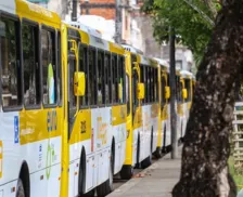 Linhas de ônibus em Paripe terão rotas modificadas; confira detalhes