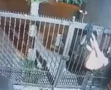Mulher acaba pendurada seminua em portão em tentativa de furto; vídeo
