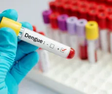 Bahia tem 17 mortes por dengue e 272 cidades em epidemia da doença