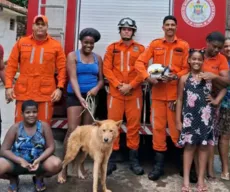 Cachorro é resgatado de buraco em Salvador após ficar dois dias preso