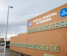 Hospital Veterinário registra 1,1 mil atendimentos; veja serviços