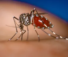 Secretaria de Saúde confirma 5ª morte por dengue na Bahia
