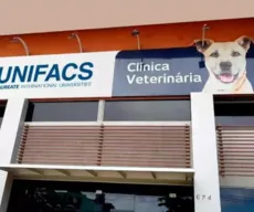 Universidade de Salvador oferece orientação sobre parasitas em pets