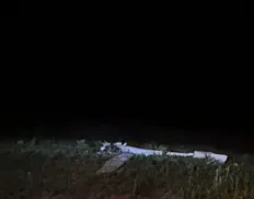 Aeronave cai no oeste da Bahia e piloto morre em acidente