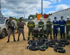 ‏Operação remove 30 ligações clandestinas de energia em Serrolândia