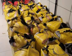 Polícia Federal encontra mais de 700 kg de cocaína em embarcação