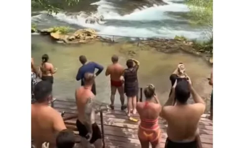 
				
					'A bicha é grande'! Sucuri gigante surpreende banhistas em cachoeira
				
				