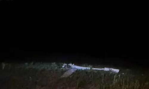  				 					Aeronave cai no oeste da Bahia e piloto morre em acidente 				 				