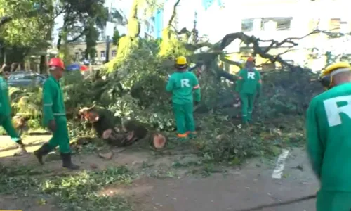 
				
					Árvore cai e bloqueia parte do trânsito no centro de Salvador
				
				