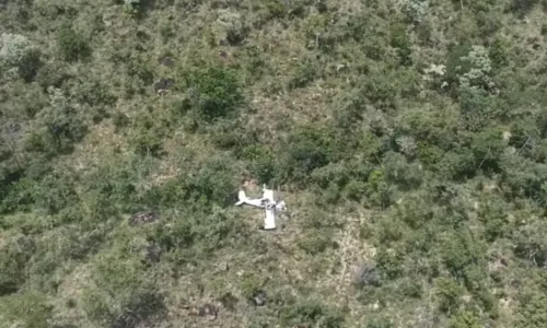 
				
					Avião cai em área de vegetação no oeste da Bahia
				
				