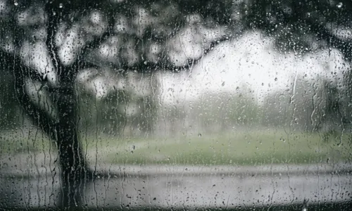  				 					Bahia registra 110 cidades atingidas pela chuva entre janeiro a abril 				 				