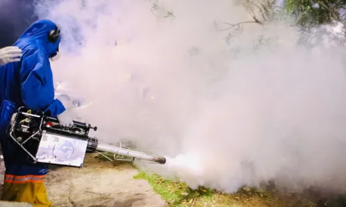  Bahia registra 78 mortes pela dengue 