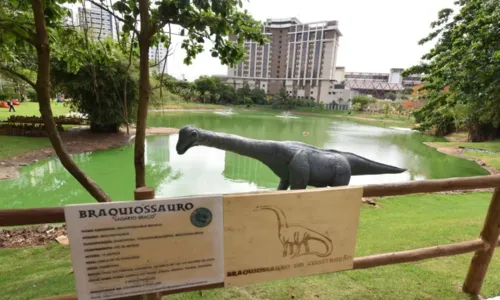 
				
					'Bora Ali?' Conheça o Parque dos Dinoussauros em Salvador
				
				