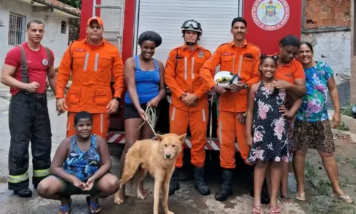 
				
					Cachorro é resgatado de buraco em Salvador após ficar dois dias preso
				
				