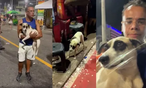 
				
					Cachorro é resgatado em circuito do carnaval de Salvador; veja
				
				