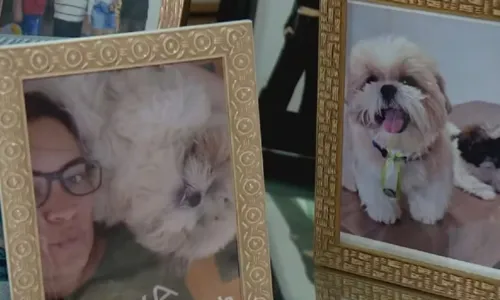  				 					Cachorro morre após ir para petshop em Vitória da Conquista 				 				
