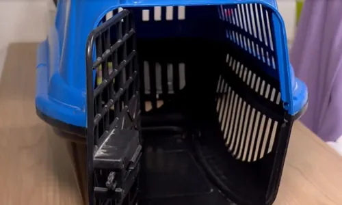 				 					Cachorro morre após ir para petshop em Vitória da Conquista 				 				