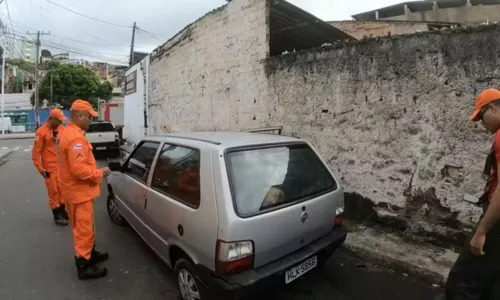 
				
					Cachorros são resgatados dentro de carro em Salvador
				
				