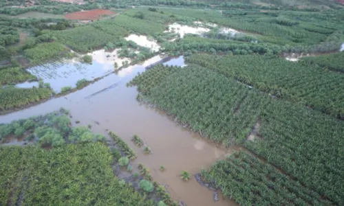 
				
					Canudos e Jeremoabo recebem ações emergenciais após chuvas na região
				
				