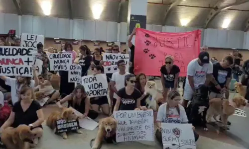 
				
					Caso Joca: Tutores de cães realizam protesto no aeroporto de Salvador
				
				
