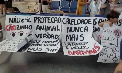 
				
					Caso Joca: Tutores de cães realizam protesto no aeroporto de Salvador
				
				