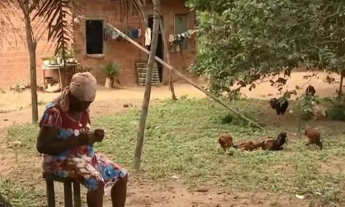  				 					Censo IBGE: na Bahia, a população quilombola é mais jovem e masculina 				 				