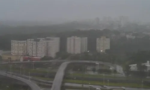 
				
					Chuvas causam prejuízos em 110 cidades da Bahia entre janeiro e abril
				
				