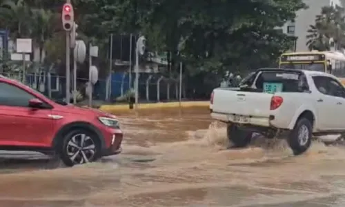 
				
					Chuvas provocam grandes estragos em cidades baianas
				
				