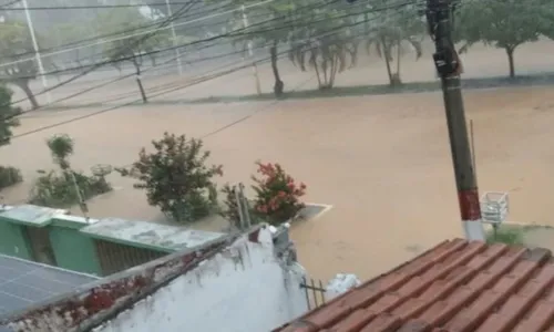 
				
					Cidade baiana registra segundo maior volume de chuva em 24h no Brasil
				
				