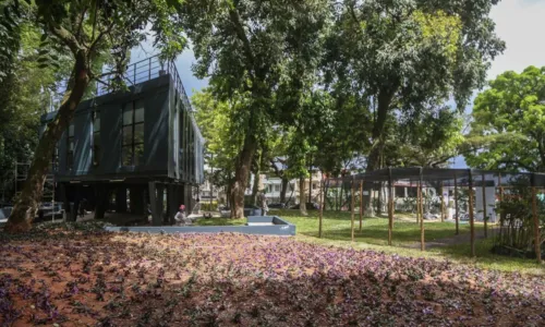  				 					Cinco lugares em Salvador para você se sentir dentro da natureza 				 				