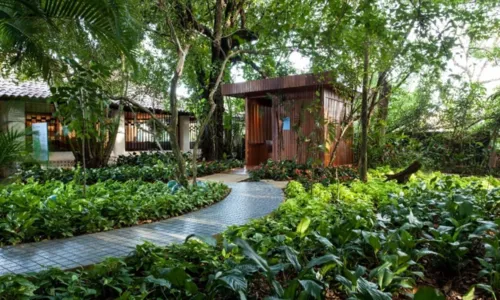  				 					Cinco lugares em Salvador para você se sentir dentro da natureza 				 				