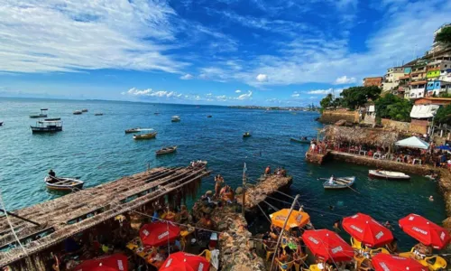  				 					Cinco lugares em Salvador para você se sentir dentro da natureza 				 				