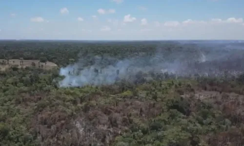 
				
					Comunidades indígenas são atingidas por incêndio no extremo sul da BA
				
				