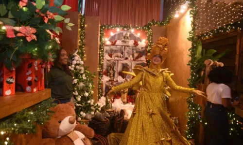 
				
					Decoração de Natal de Salvador é inaugurada no Centro Histórico
				
				