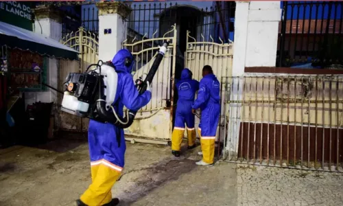  				 					Dengue na Bahia: sobe para 27 o número de mortos por dengue 				 				