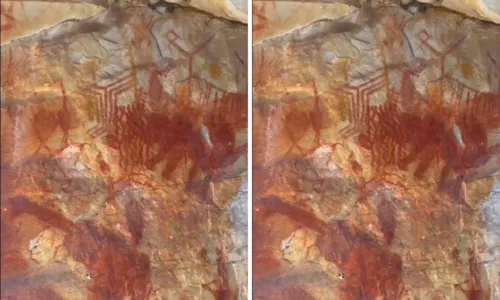 
				
					Desenho pré-histórico de lhama gigante é encontrado no oeste da Bahia
				
				