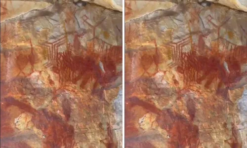 
Desenho pré-histórico de lhama gigante é encontrado no oeste da Bahia
