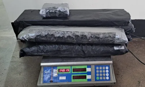 
				
					Dupla é presa com 28 quilos de cocaína em navio cruzeiro na BA
				
				