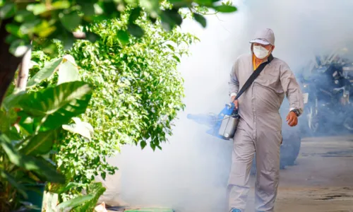 

					Fala Bahia destaca aumento de 702,9% nos casos de dengue no estado

				