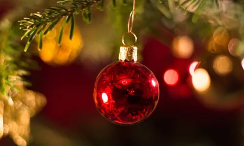 
				
					Feliz Natal: 10 frases para turbinar as felicitações natalinas; veja
				
				