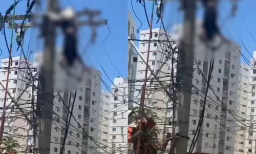 
				
					Homem tenta furtar cabos, recebe carga elétrica e fica preso em poste
				
				