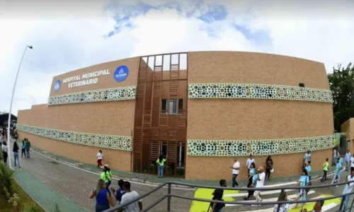 
				
					Hospital Público Veterinário é inaugurado em Salvador; veja serviços
				
				