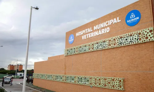 
				
					Hospital Veterinário registra 1,1 mil atendimentos; veja serviços
				
				