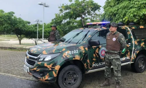  				 					Jacaré invade condomínio durante chuva em Lauro de Freitas 				 				