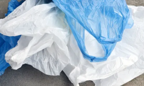 
				
					Lei que proíbe distribuição de sacolas plásticas entra em vigor em SSA
				
				