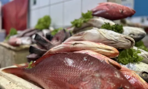 
				
					Mercado do Peixe terá ‘viradão’ de 35h na Semana Santa
				
				