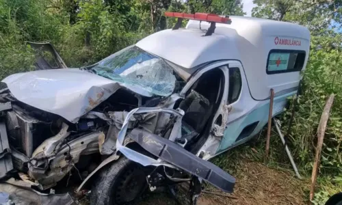 
				
					Motorista de ambulância morre após batida com caminhão na BA
				
				