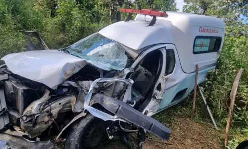  				 					Motorista de ambulância morre após batida com caminhão na BA 				 				